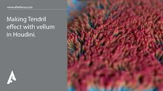 Tendril effect with vellum in Houdini