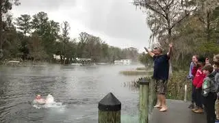 Sateke Village Polar Bear Plunge Jan 1 2018