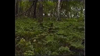 Калиновка