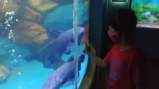 Radiant Fish World, Cox’s Bazar