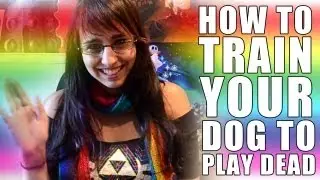 How to train your dog to play dead!