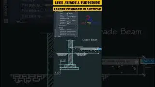 Leader in AutoCAD 