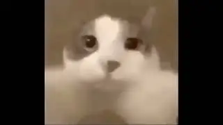 B)