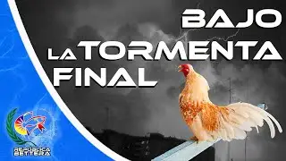 REPORTE FINAL / Tormenta Isaias