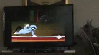 Sylvester Air Inflation