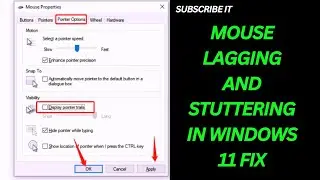 Fix Mouse Lagging and Stuttering in Windows 11