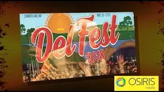 DelFest 2018 Interview Highlights