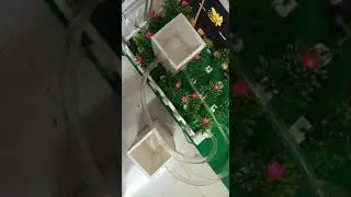 Automatic Watering System