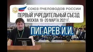 Пигарев Иван Иванович (Исполнительный директор Ассоциации 