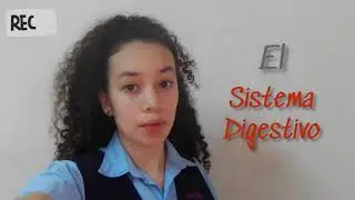El Sistema Digestivo