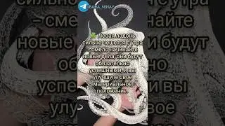 СОВЕТЫ НА КАЖДЫЙ ДЕНЬ| Заговор |  Магия | Тик Ток 