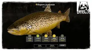 Russian Fishing4 