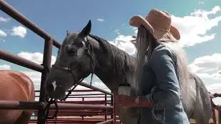 Kem and Horses