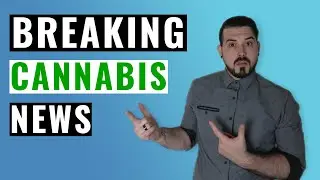 Breaking News: Hemp Prices Fall | Cannabis in the News (Ep:01)