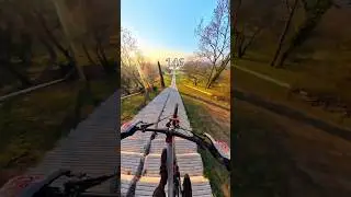 Insane Feeling 