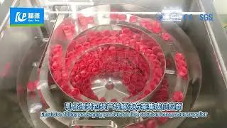 4-heads rotary pump filling and capping machine