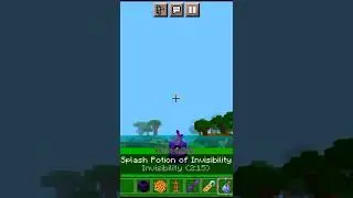 Minecraft viral tiktok build hacks #shorts #minecraft