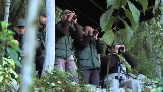 Birding Rally 2013