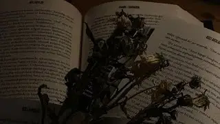 ortaya çıkan her ezgi, çalınan bir hayatın ölüsünün anısına🍂