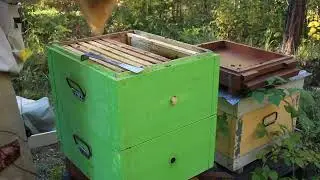 Смотрю ослабшие семьи, контроль состояния.