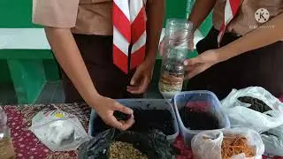 LOMBA TTG SMP NEGERI 1 PACE