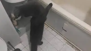 Прощание с ванной комнатой. ДО ремонта.