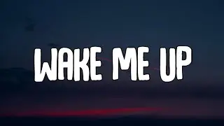 Avicii - Wake Me Up (Lyrics)