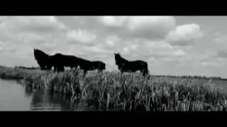 Black Gods Blues. (music by Otis Taylor)