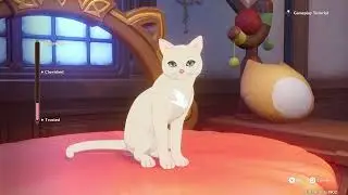 Feline Fortress Furrdyssey - Genshin Impact