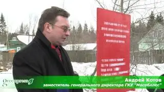 короед звенигород санитарная рубка