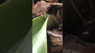 https://zen.yandex.ru/video/watch/624872081307c26b954cacaa