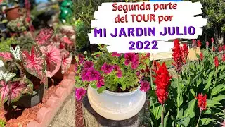 TOUR por MI JARDÍN julio 2022 segunda parte