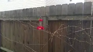 Liftoff