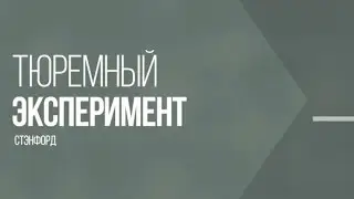 Стэнфордский эксперимент | Мозговедение