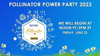 2023 Pollinator Power Party Day Three: Culture and Ethics: Can Bees be Happy?