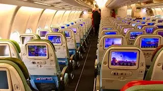 Turkish Airlines Airbus A330-300 Frankfurt - Istanbul New Airport (TC-JNN)