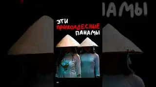 Они похожи на грибочки, правда же?😍