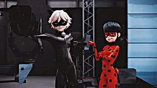 LadyBug 🐞 and Cat Noir 🐈  - Immortals