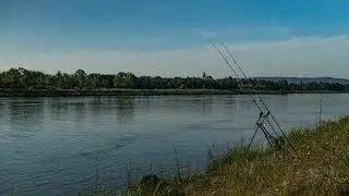 Un 24h printanier sur le Rhône ~ Pêche de la carpe