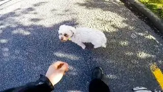 BIKERS HELPING ANIMALS & OTHERS | REAL LIFE HEROES