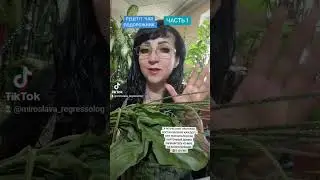 6 сентября 2024 г.