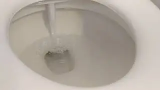 Tushy Bidet Install