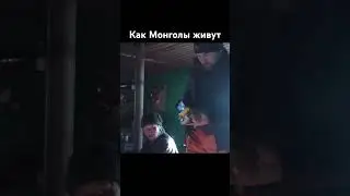Отправились в экспедицию по Монголии