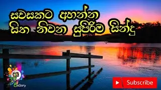 beautiful Classic songs collection සවසකට අහන්න සිත නිවන ලස්සනම ගීත එකතුවක්..