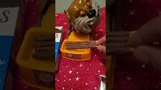 ANGRY doggie #ASMR #schoko keks sticks for doggie #satisfying Sounds #short (3)