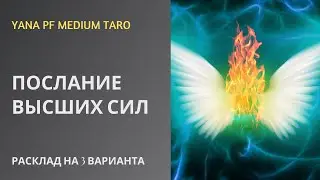 #ТАРО