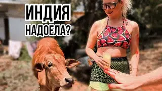 Ищу парня в Гоа. А нашла БОРЩ и сало! Куда после Индии?