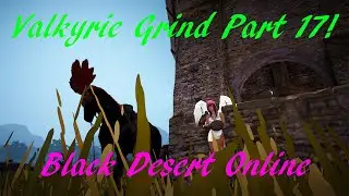 Black Desert Online - Valkyrie Lvl1-50 Grind Part 17!