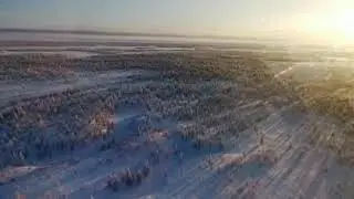 Нашествие волков