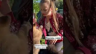 Девочка решила выкормить волчат 🐺 главное в этом деле Любовь и терпение🙏 #мама #дети #волк #топ